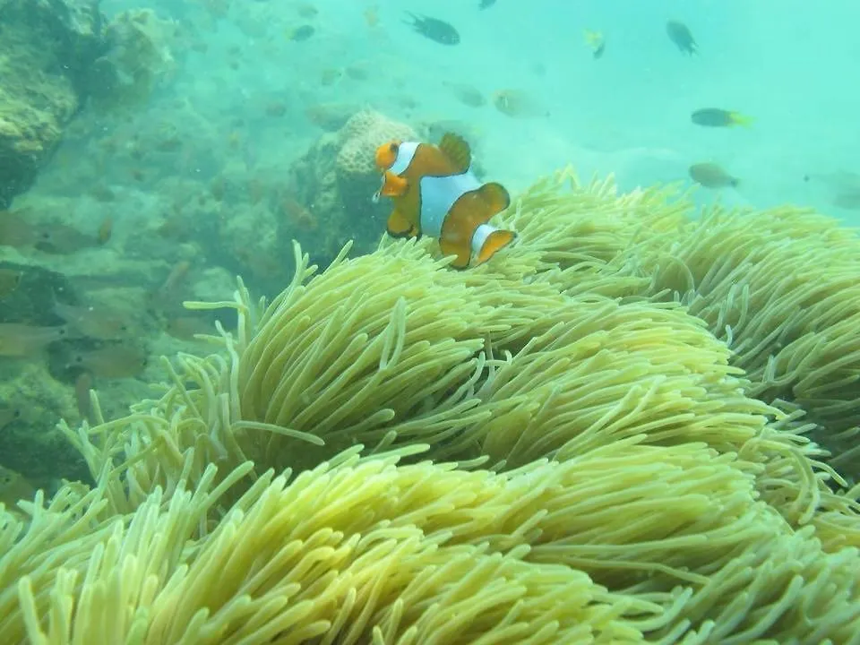 Bai Bai Home Khao Lak